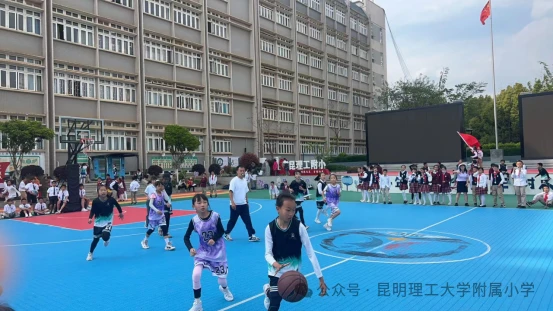 篮球训练视频教学软件下载大全安卓_2